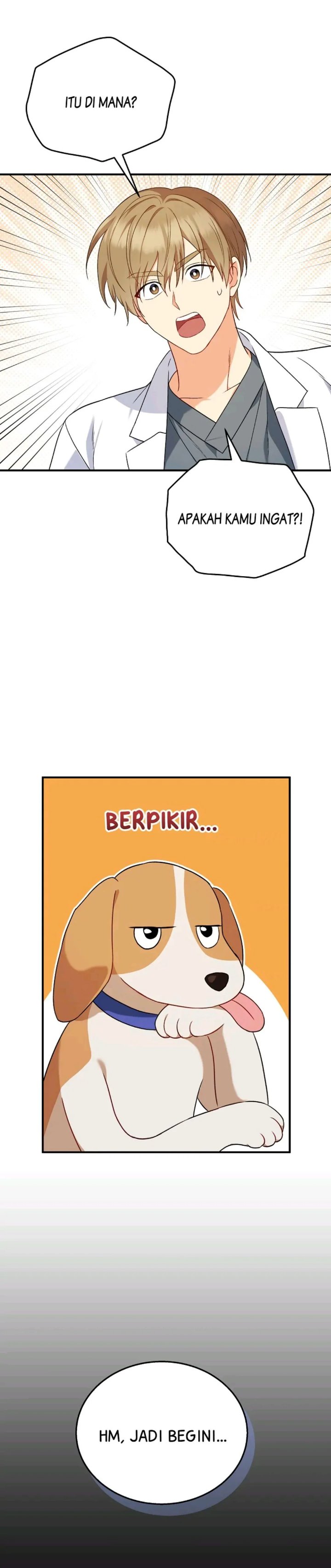 Hello Veterinarian Chapter 12 Halaman 11