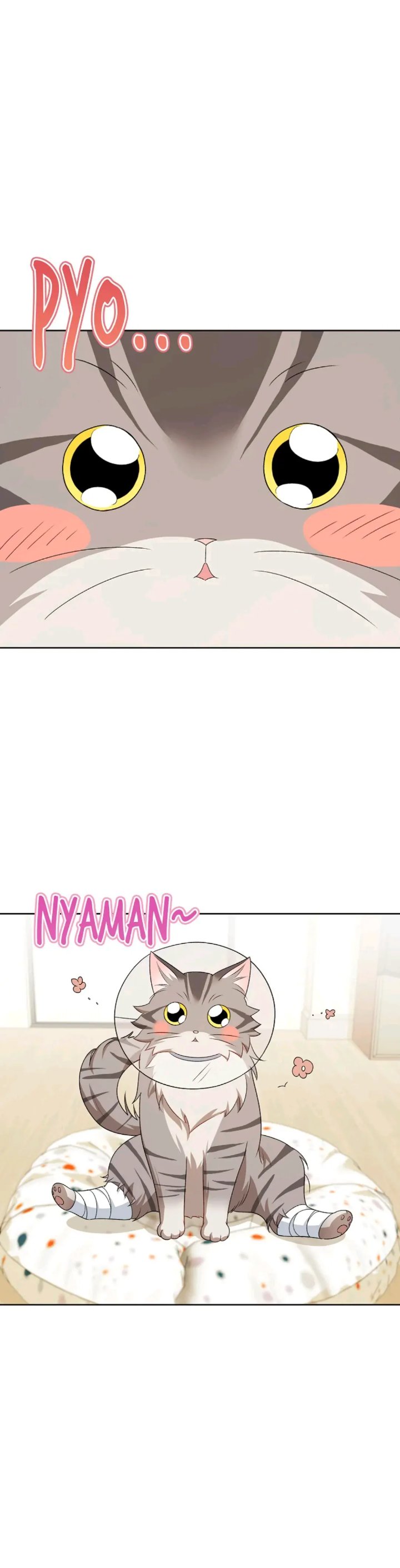 Hello Veterinarian Chapter 15 Halaman 18