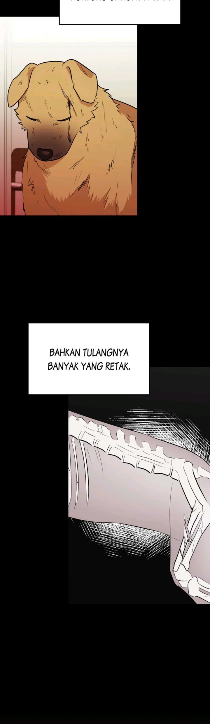 Hello Veterinarian Chapter 17 Halaman 12