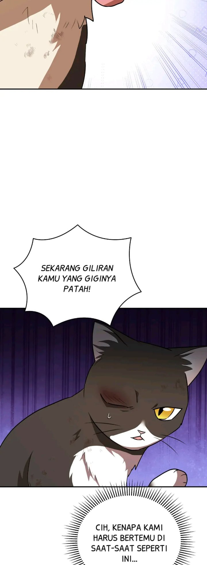 Hello Veterinarian Chapter 27 Halaman 12
