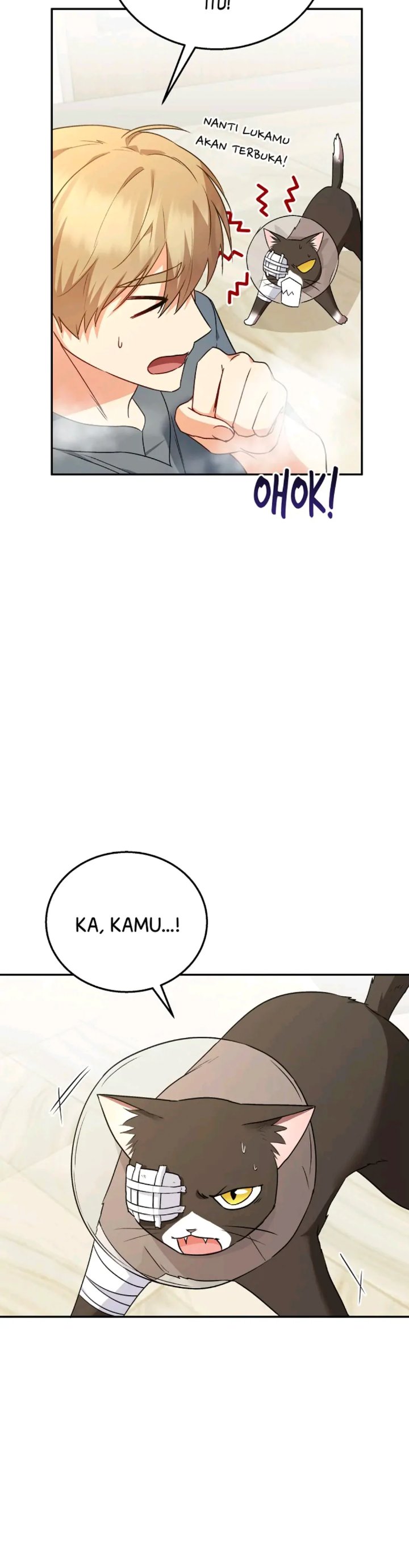Hello Veterinarian Chapter 27 Halaman 33