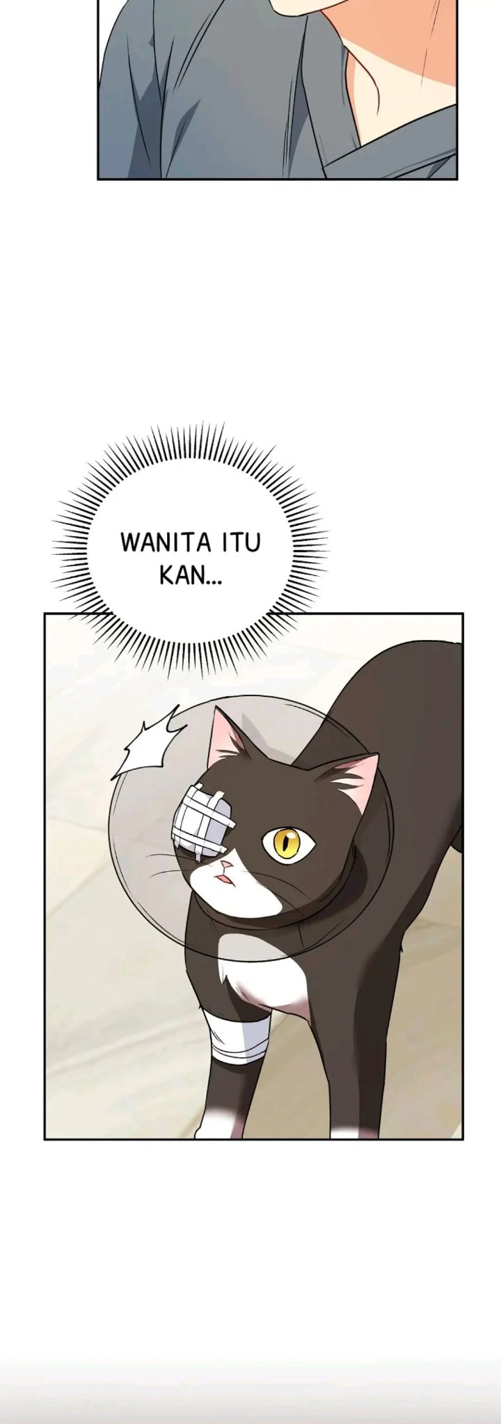 Hello Veterinarian Chapter 28 Halaman 5