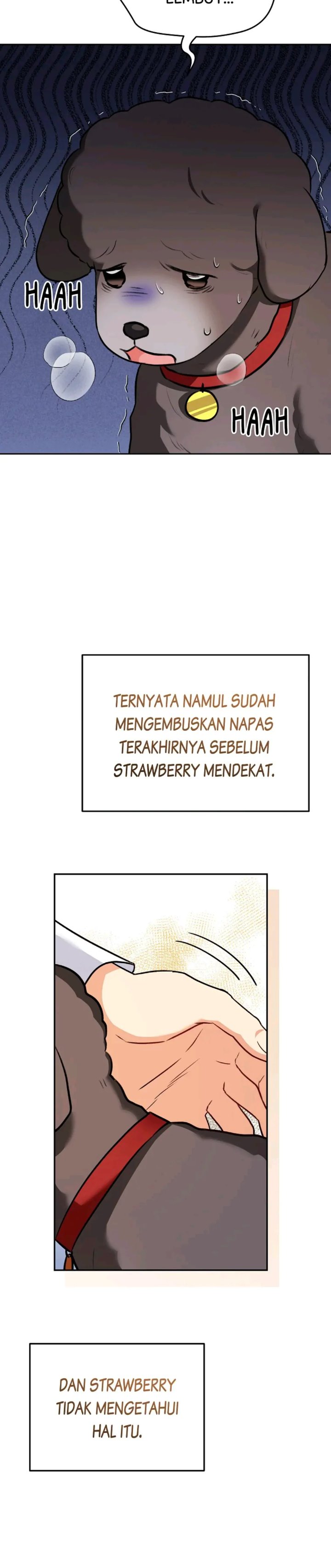 Hello Veterinarian Chapter 34 Halaman 15