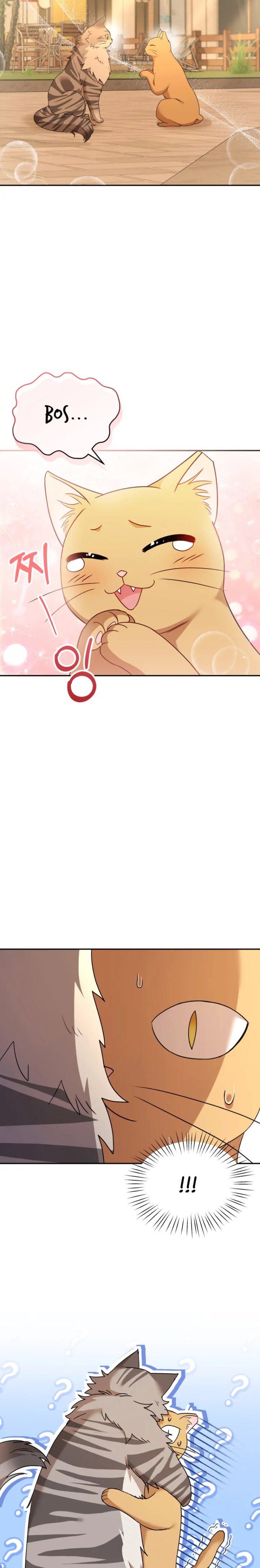 Hello Veterinarian Chapter 38 Halaman 7