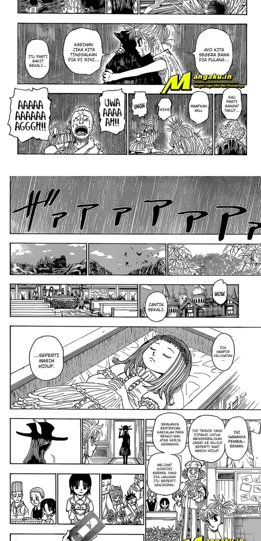 Hunter X Hunter Chapter 397 Halaman 9