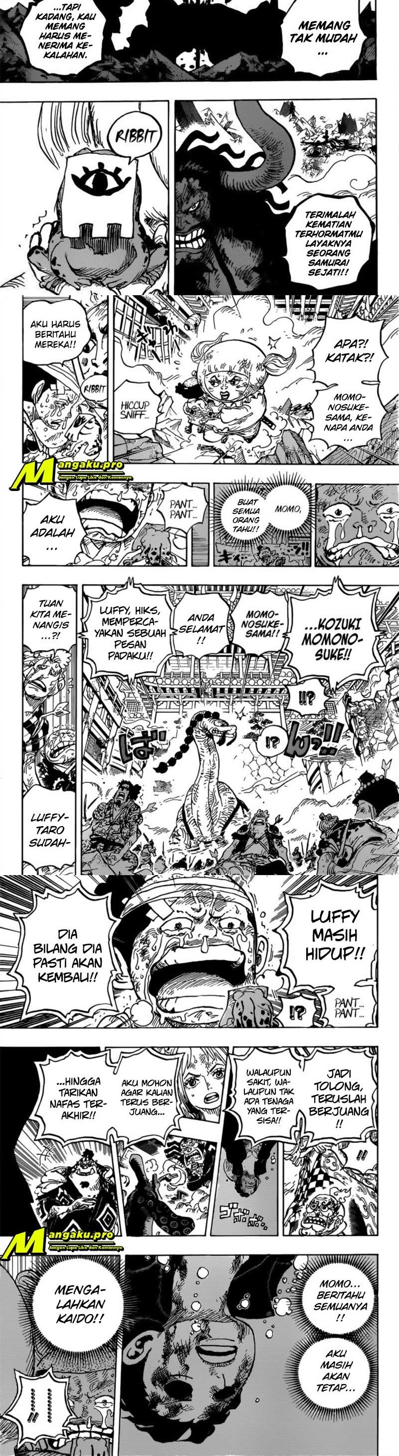 One Piece Chapter 1015 Halaman 5