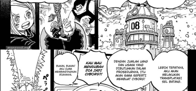 One Piece Chapter 1099 Halaman 41