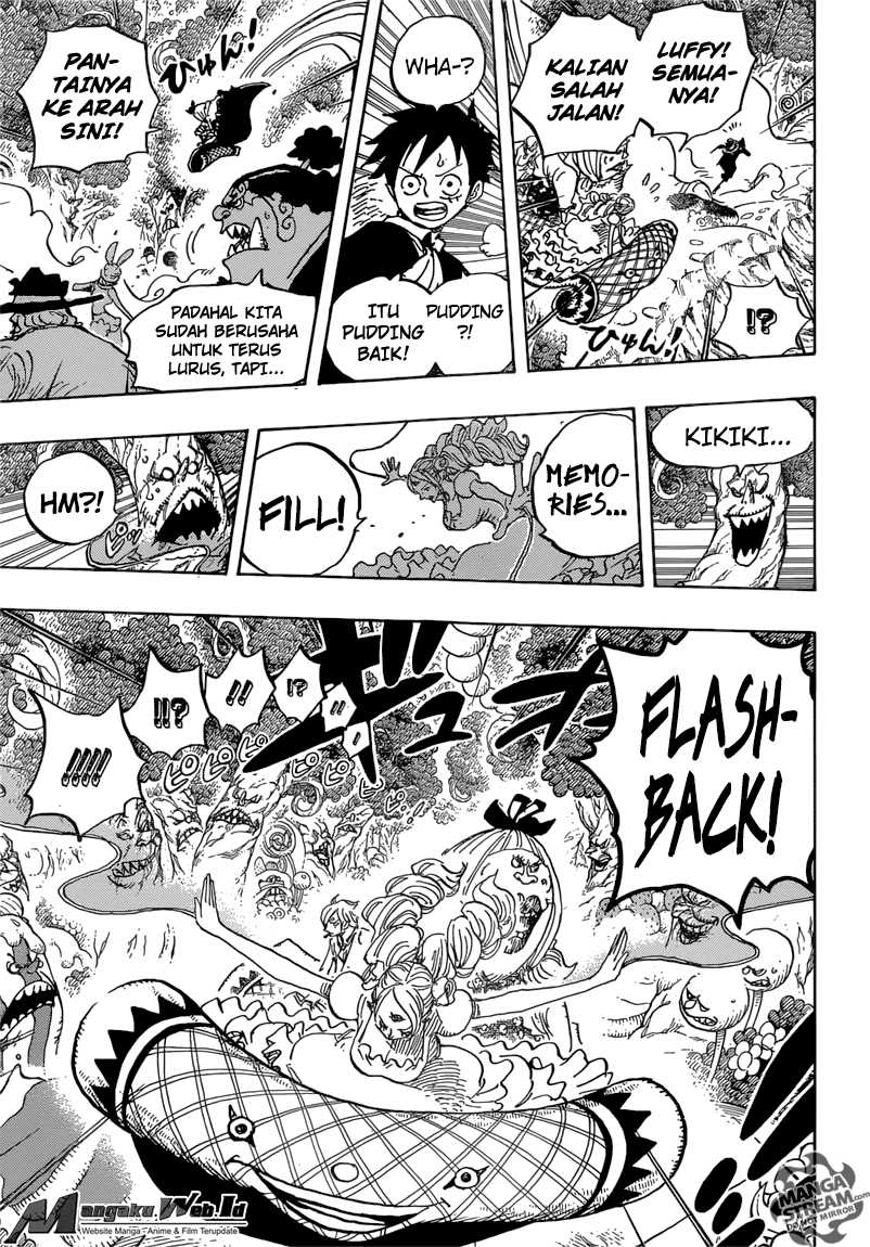 One Piece Chapter 876 Halaman 13