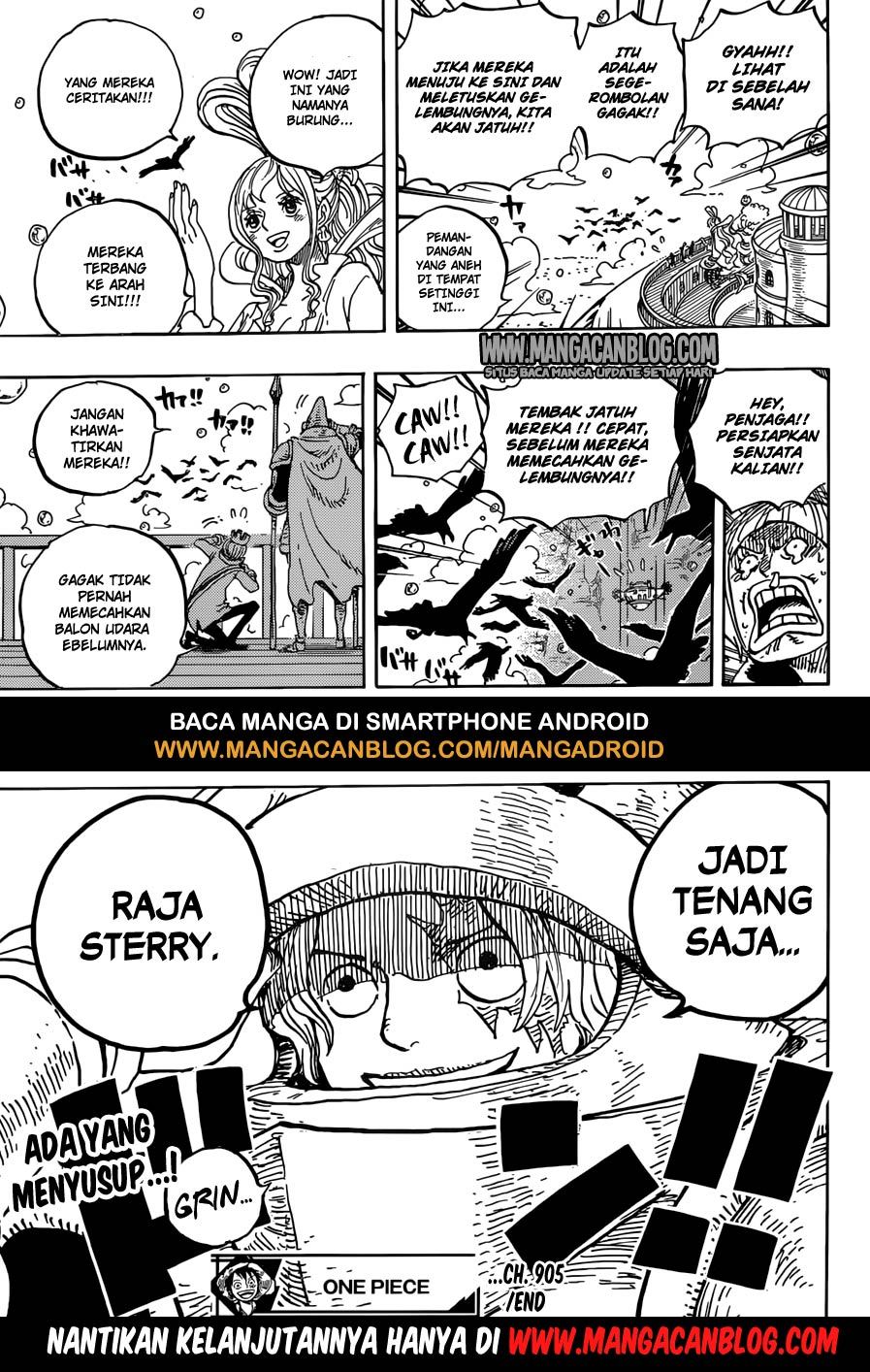 One Piece Chapter 905 Halaman 16