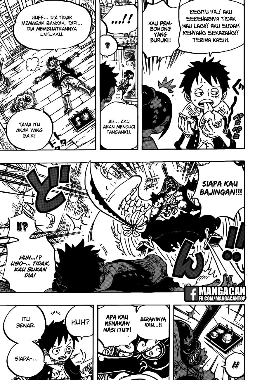 One Piece Chapter 911 Halaman 14