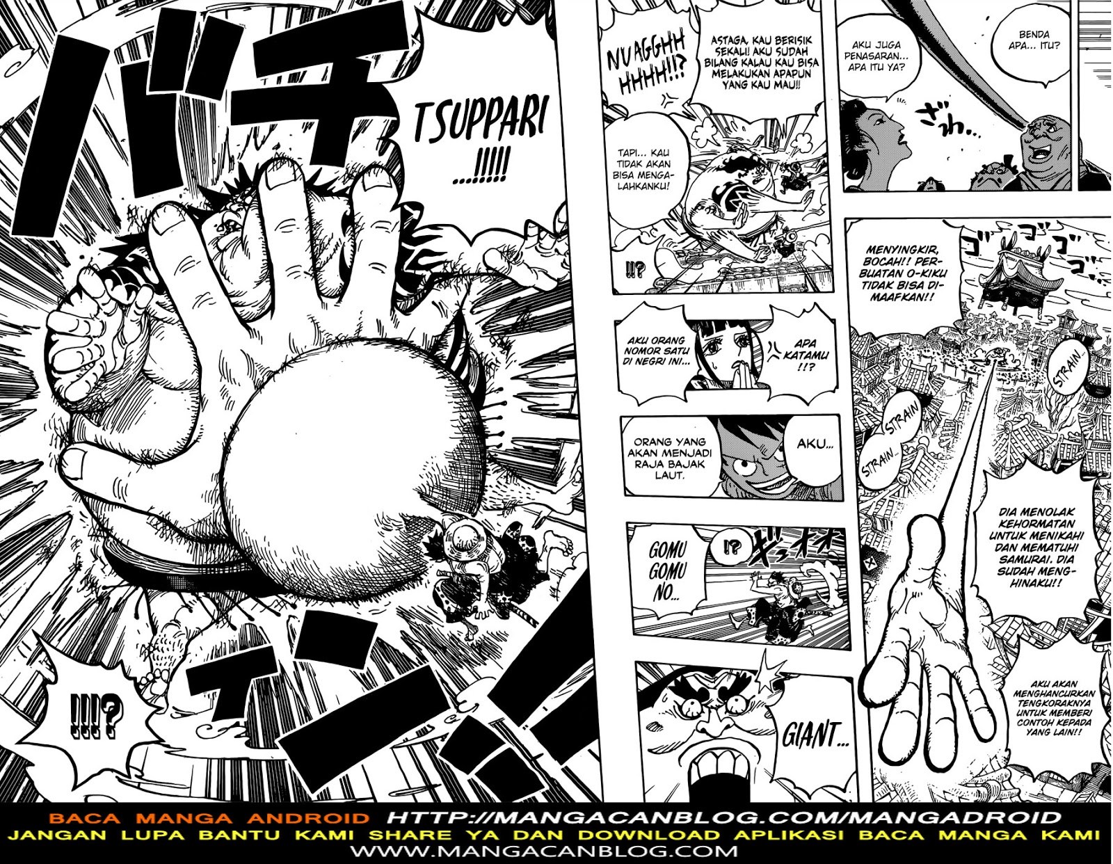 One Piece Chapter 916 Halaman 13