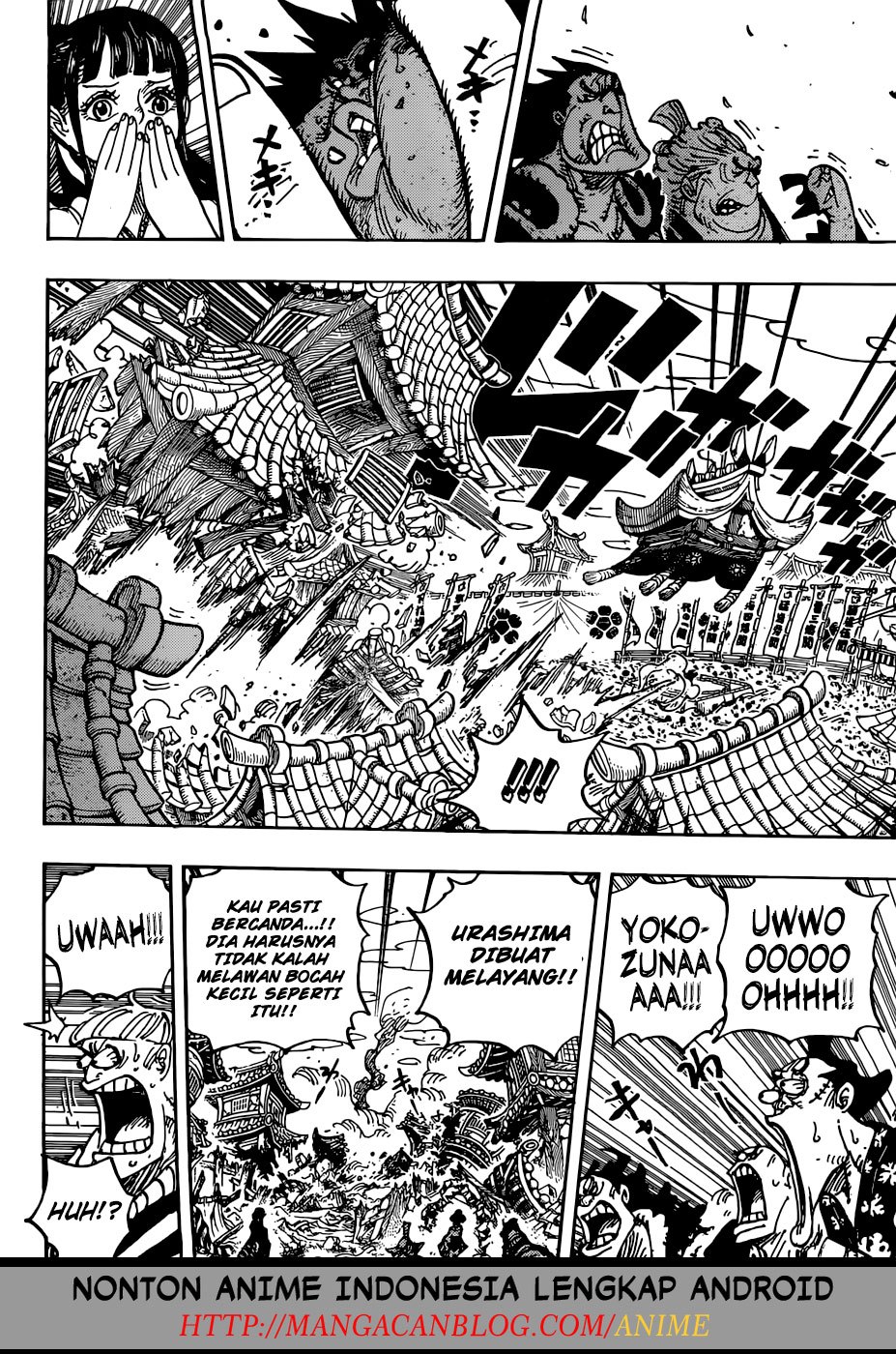 One Piece Chapter 916 Halaman 14