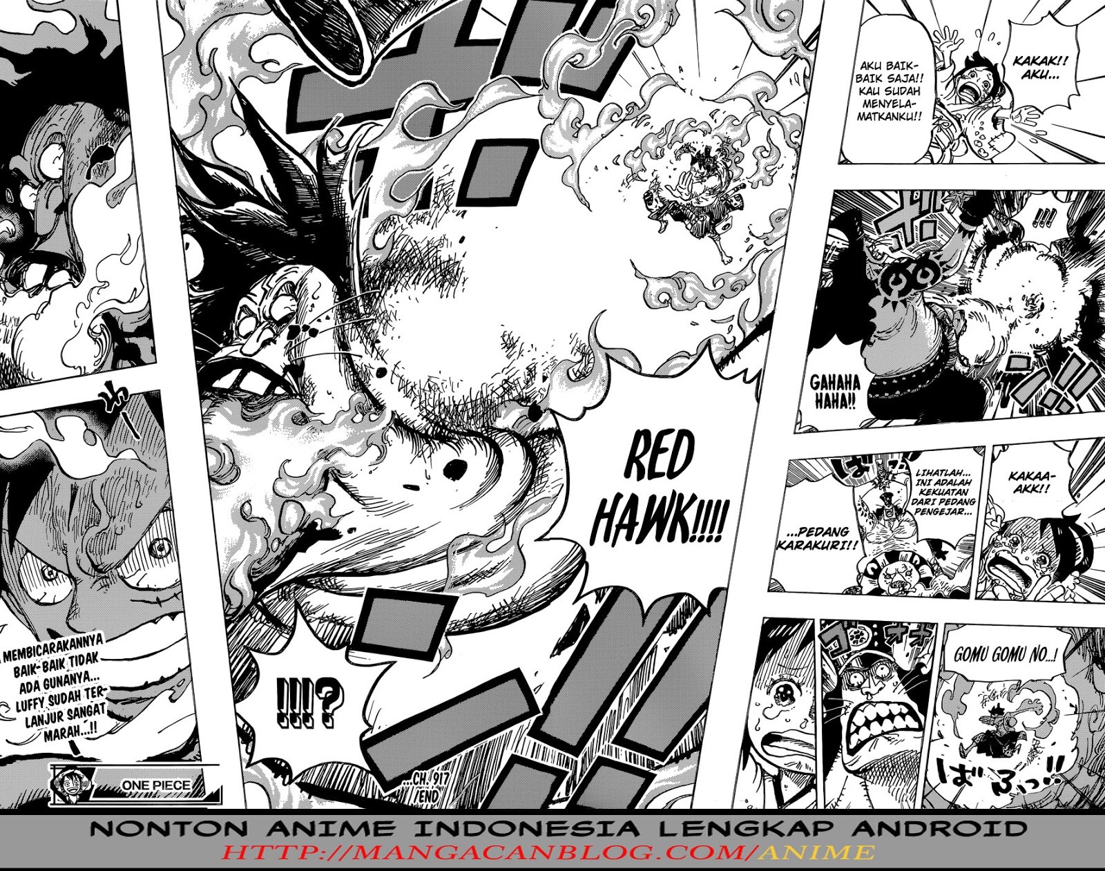 One Piece Chapter 917 Halaman 16