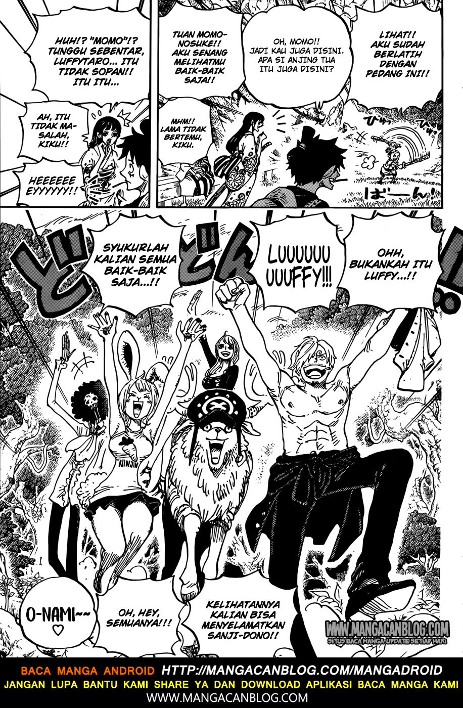 One Piece Chapter 919 Halaman 14