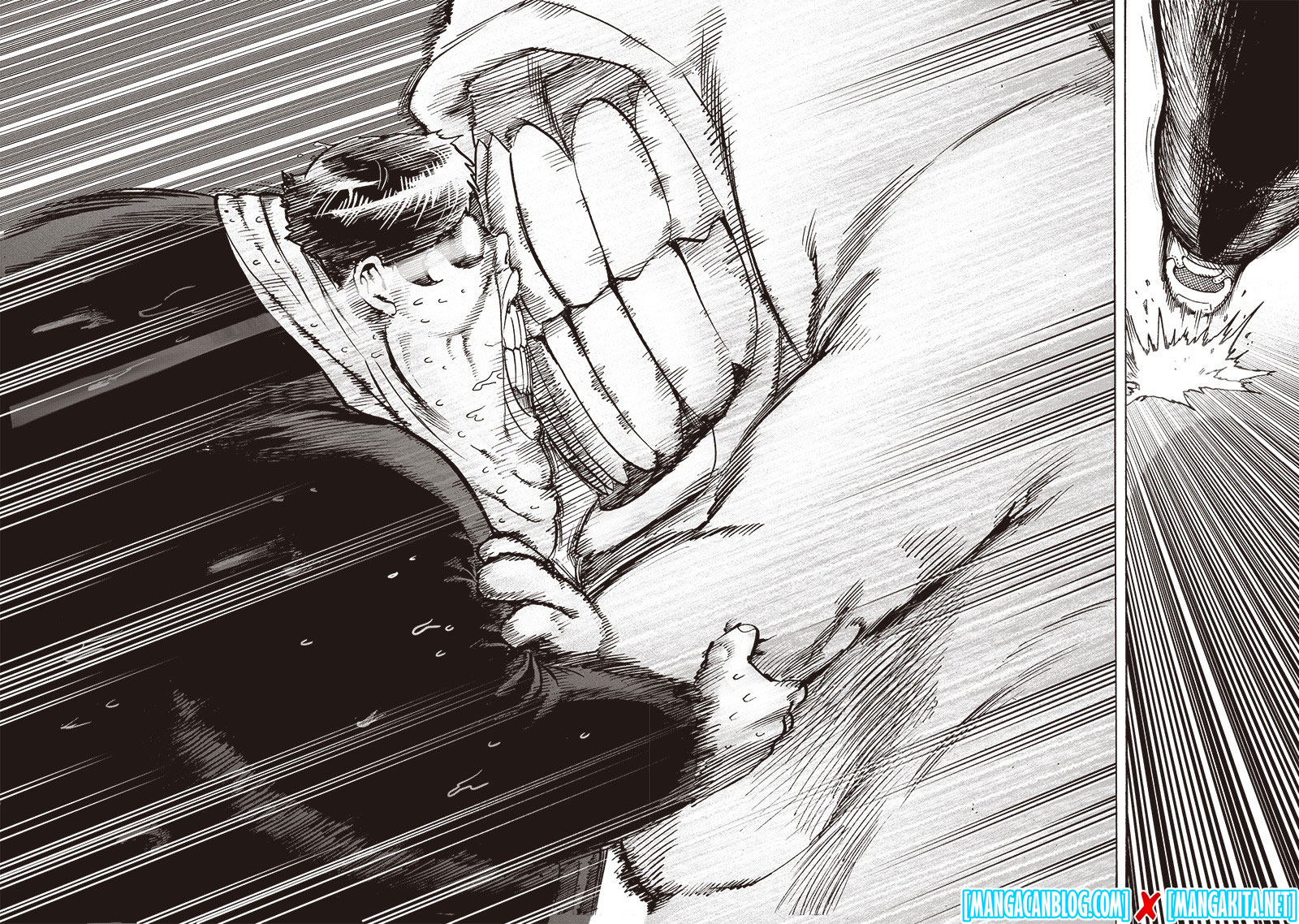 One Punch Man Chapter 161 Halaman 10