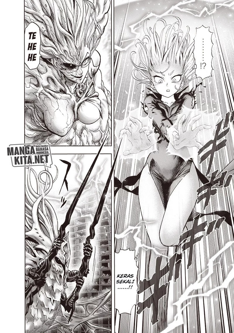 One Punch Man Chapter 176 Halaman 14