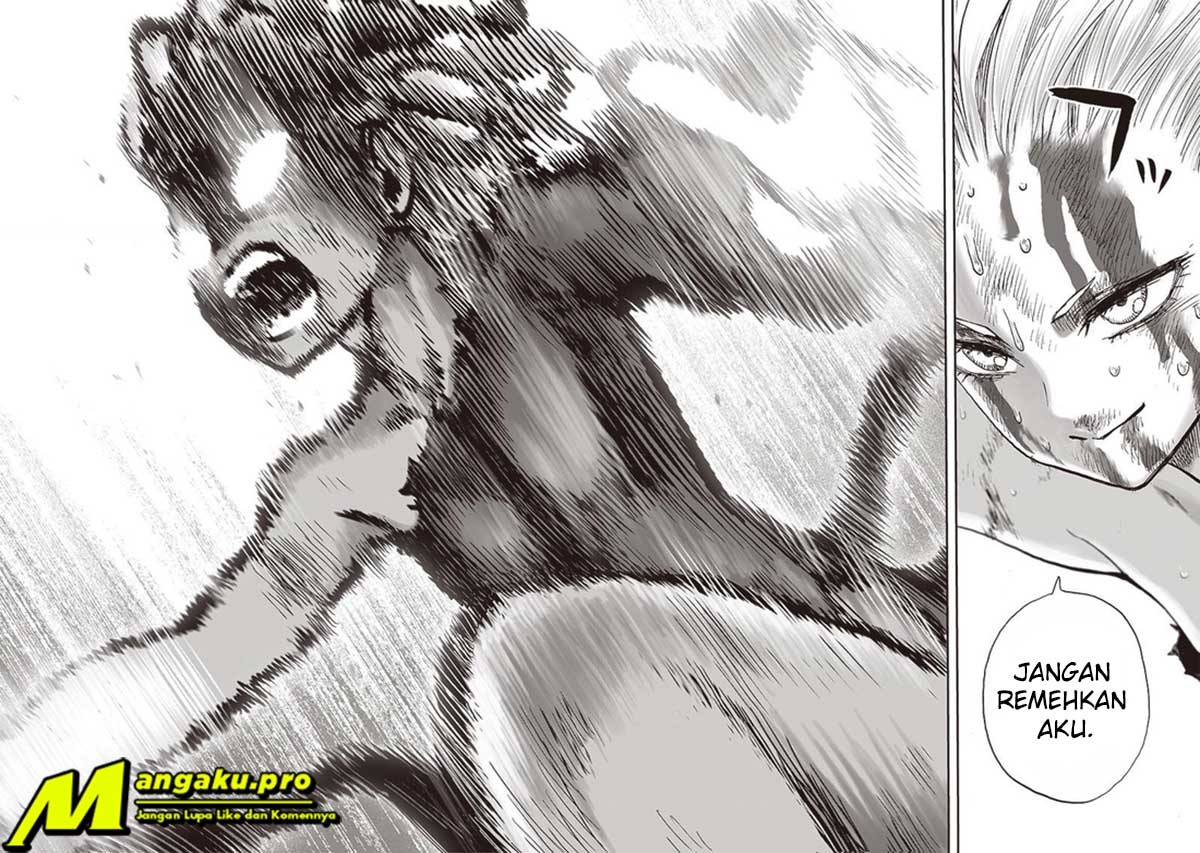 One Punch Man Chapter 187 Halaman 23