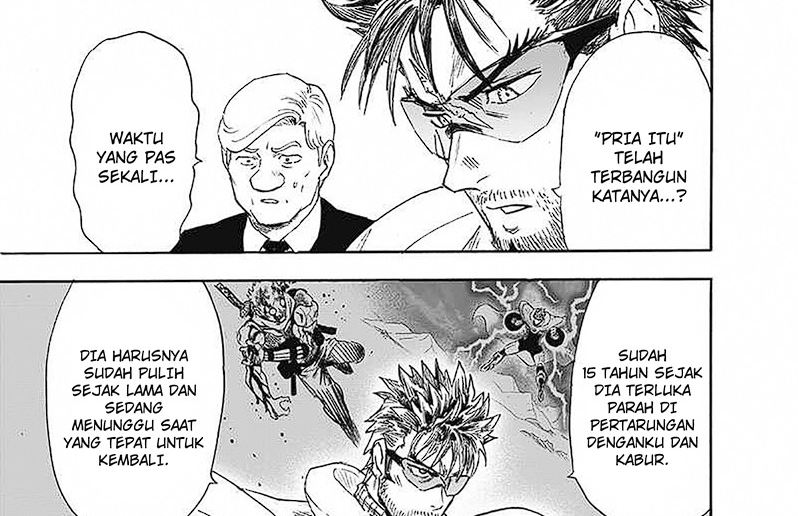 One Punch Man Chapter 246 Halaman 29
