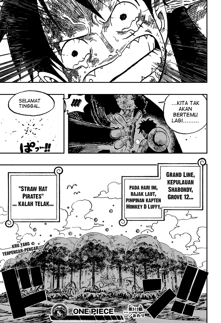 One Piece Chapter 513 Halaman 18