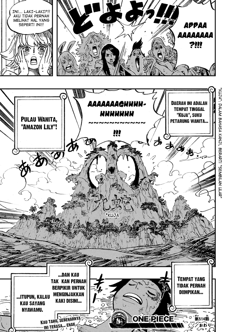 One Piece Chapter 514 Halaman 19