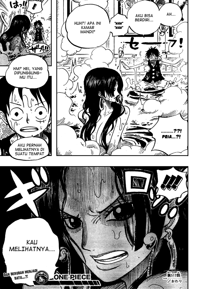 One Piece Chapter 517 Halaman 19