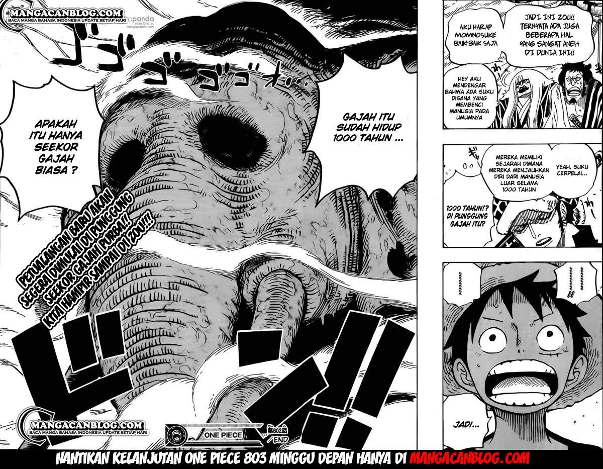 One Piece Chapter 802 Halaman 14