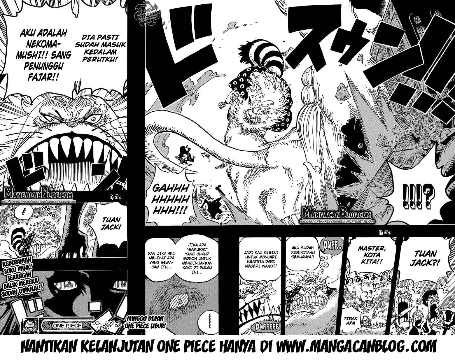 One Piece Chapter 809 Halaman 19