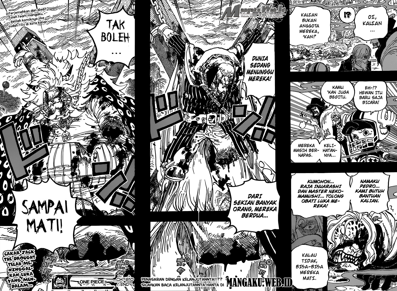 One Piece Chapter 810 Halaman 19
