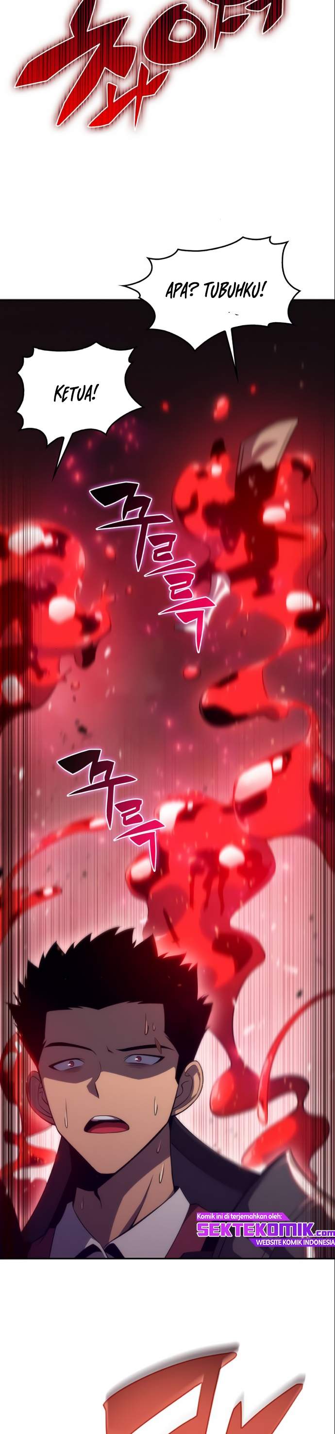 Solo Max Level Newbie Chapter 21 Halaman 11