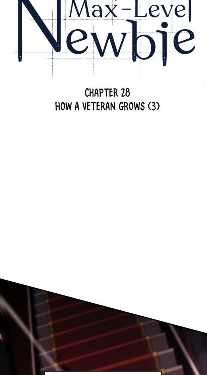 Solo Max Level Newbie Chapter 28 Halaman 11