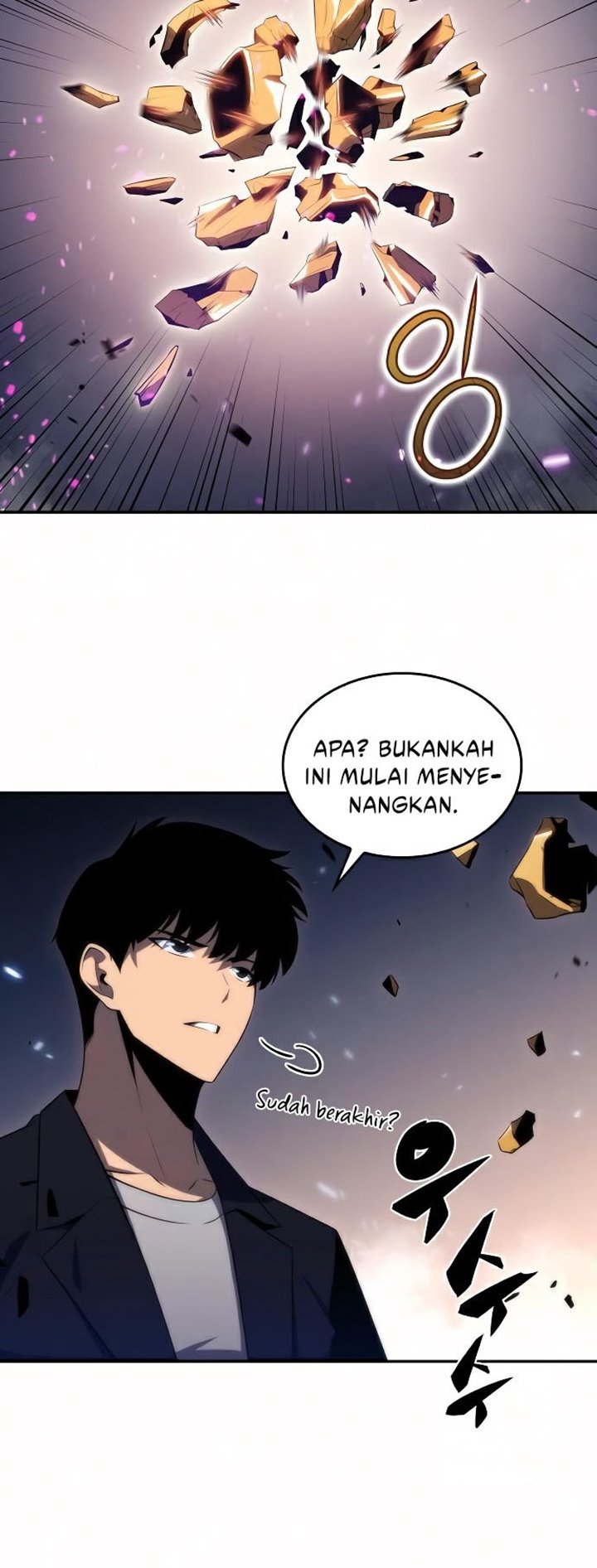 Solo Max Level Newbie Chapter 30 Halaman 48