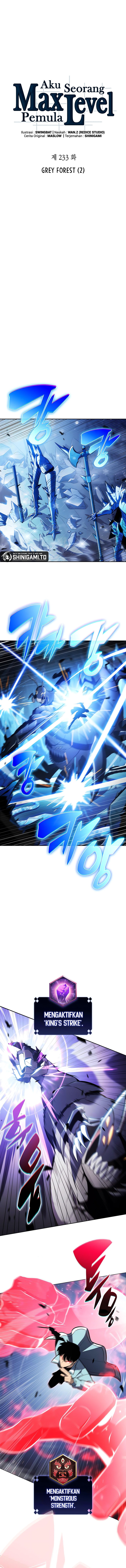 Solo Max Level Newbie Chapter 233 Halaman 4