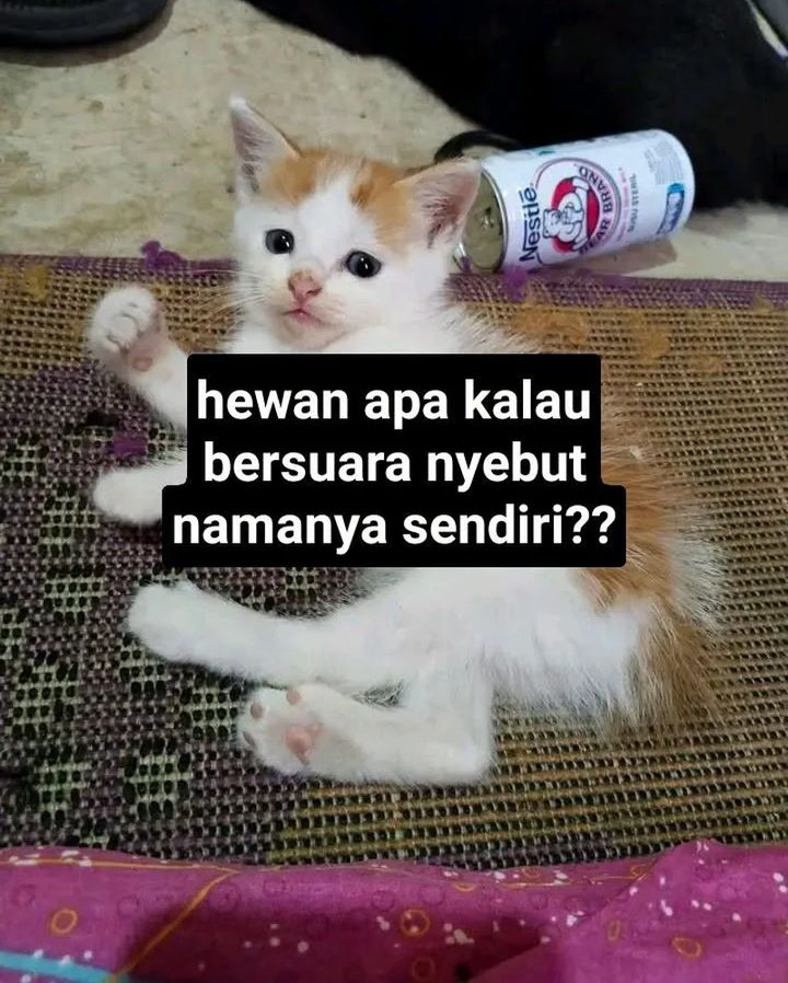 The Classmate Chapter 11 Halaman 39