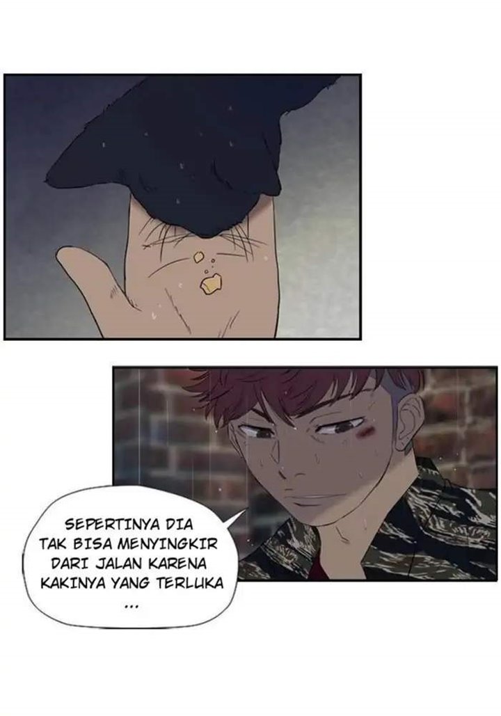 Wind Breaker Chapter 18 Halaman 39