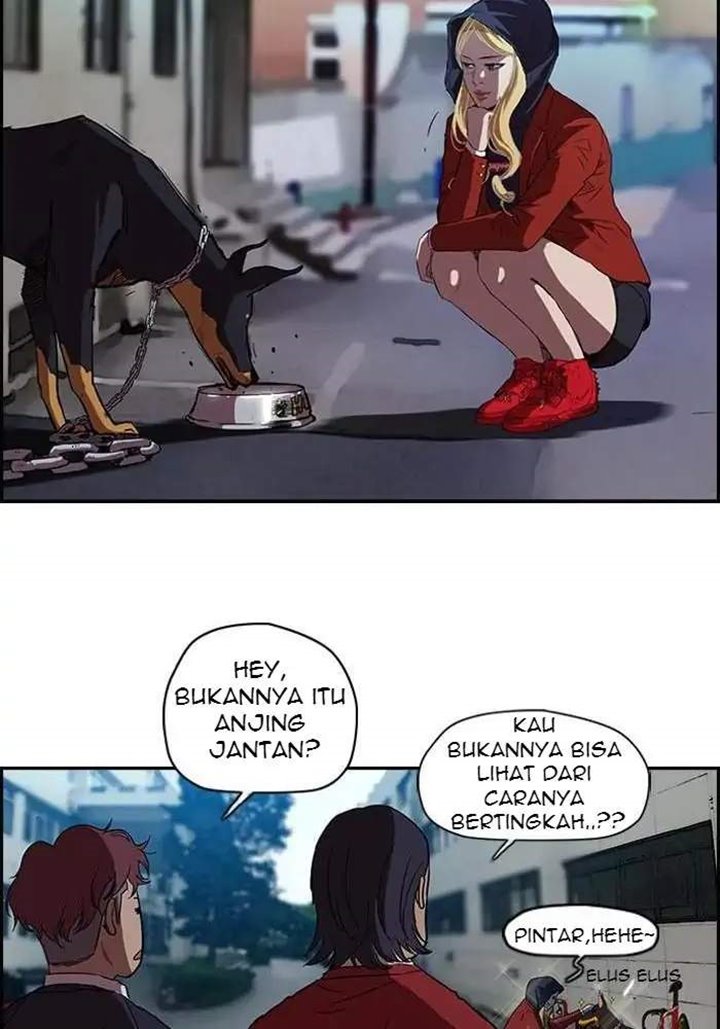 Wind Breaker Chapter 61 Halaman 24