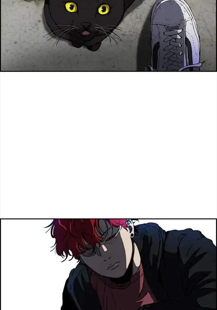 Wind Breaker Chapter 206 Halaman 72