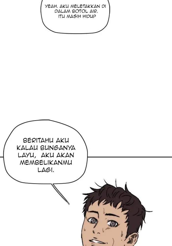 Wind Breaker Chapter 217 Halaman 69