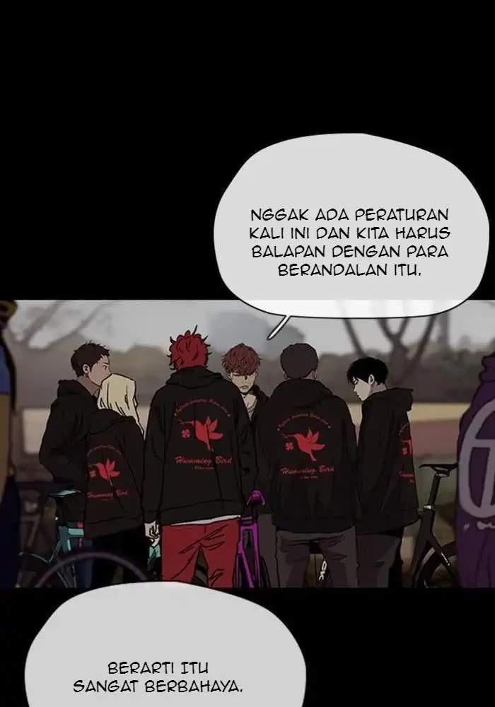 Wind Breaker Chapter 244 Halaman 50