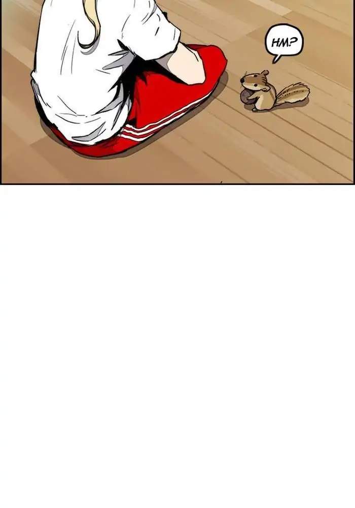 Wind Breaker Chapter 261 Halaman 43