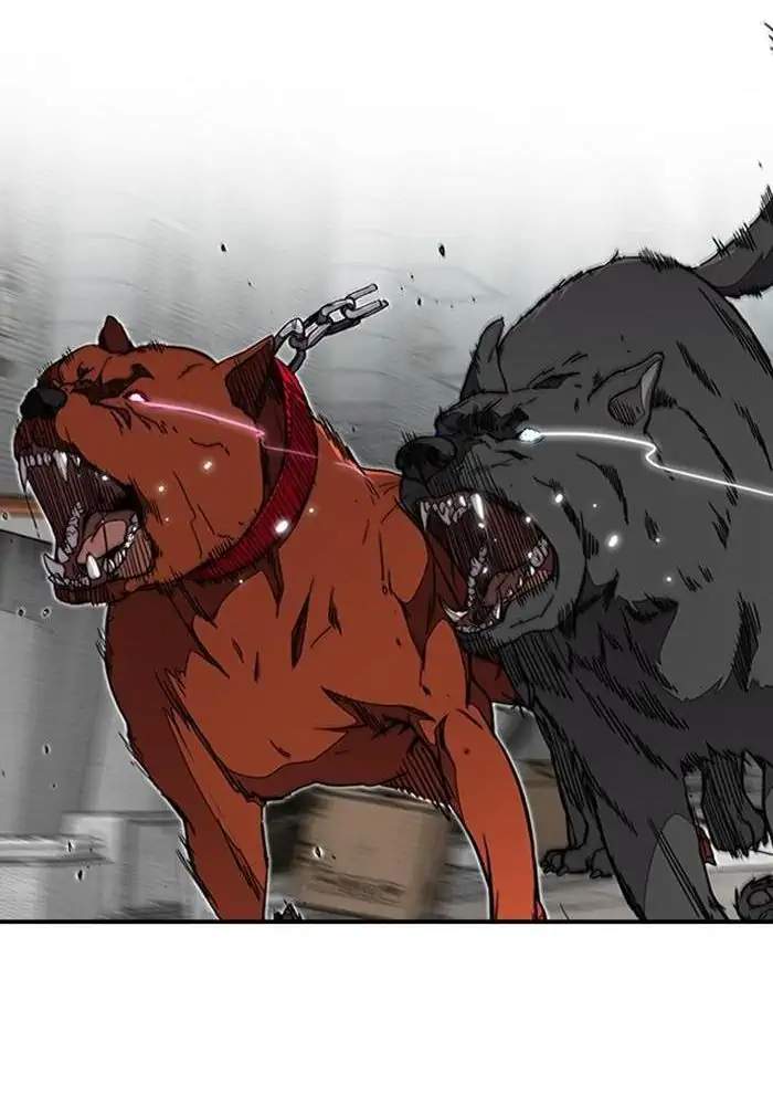 Wind Breaker Chapter 305 Halaman 107