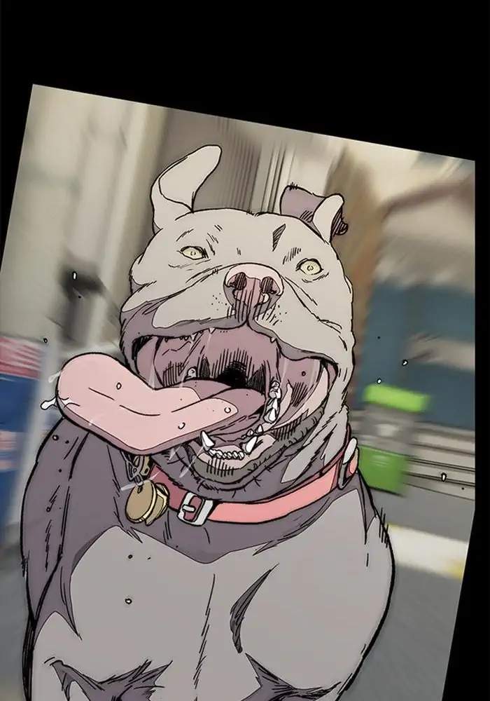 Wind Breaker Chapter 338 Halaman 121