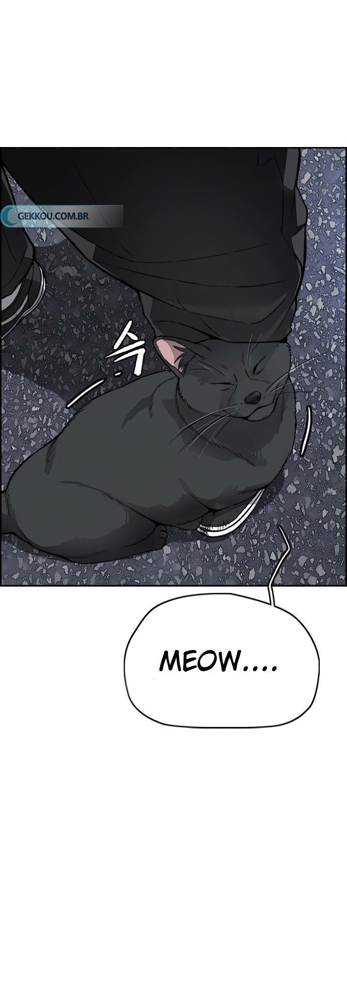 Wind Breaker Chapter 408 Halaman 53