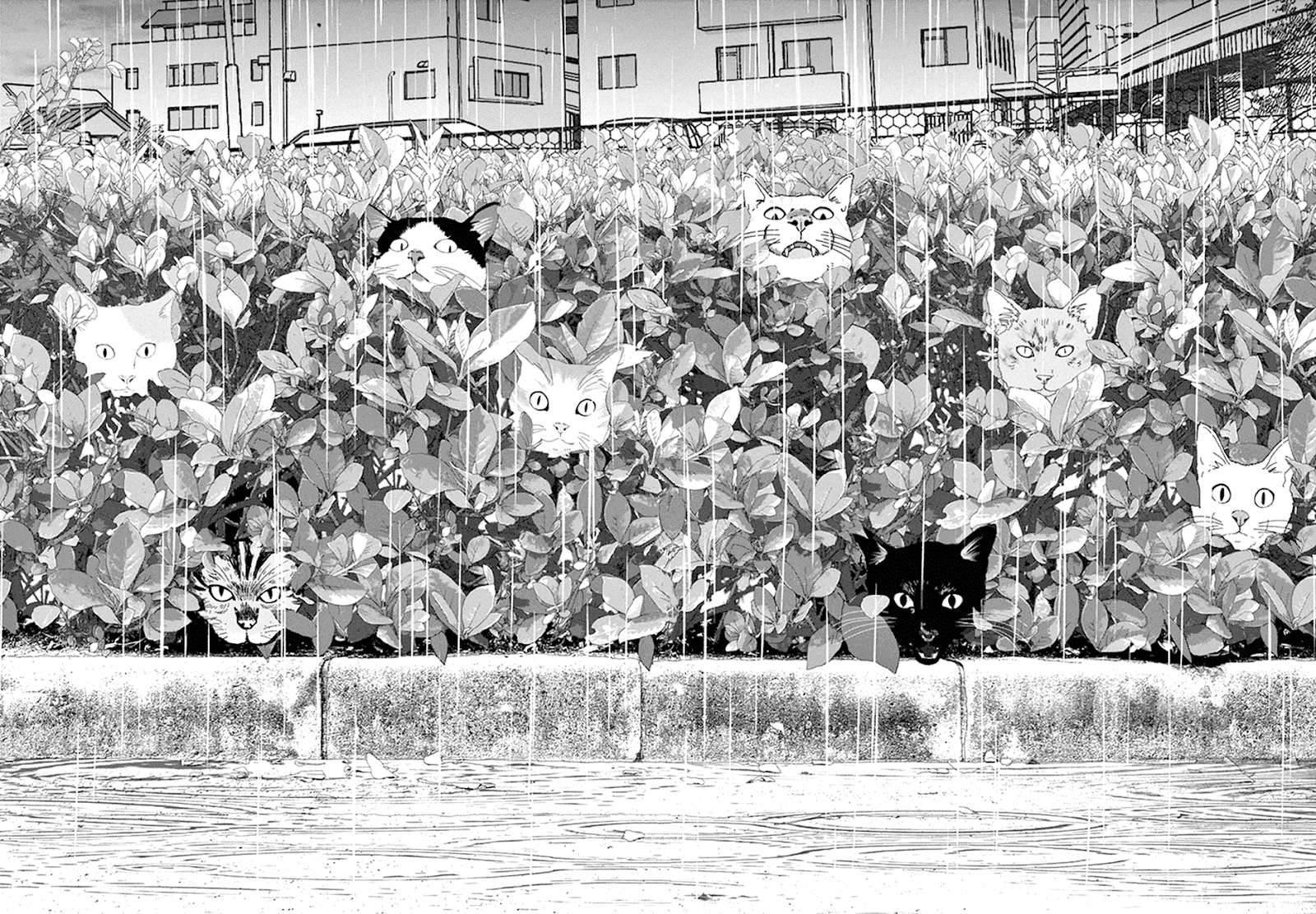 Wonderland Chapter 9 Halaman 14